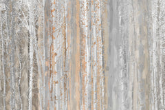 Papier peint panoramique Forêt Bouleaux - Sur mesure