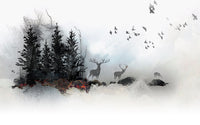 Échantillon, Design SD0752, Papier peint panoramique Forêt Pins et Sapins - Collection 2 - Sur mesure