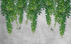 Design SK0187 — Eucalyptus Botanique Sauge — design seul — Novomur
