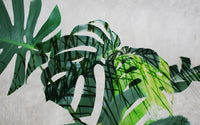 Échantillon, Design SK0440, Papier peint panoramique Palmier Tropical Vert - Collection 4 - Sur mesure