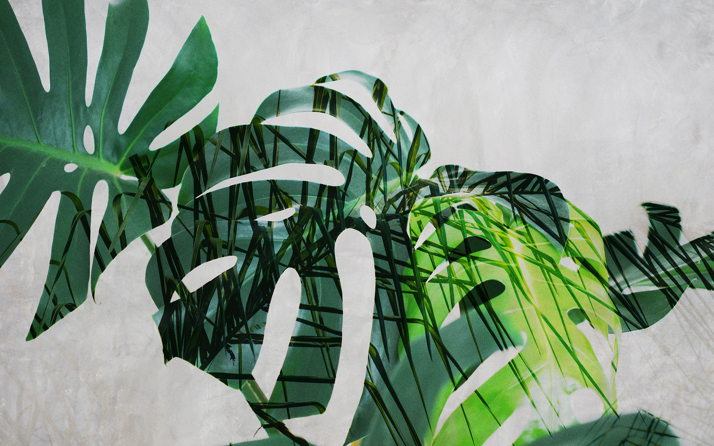 Papier peint design SK0440