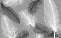 Échantillon, Design SK0650, Papier peint panoramique Plumes - Sur mesure
