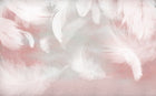 Design SK0739 — Plumes — design seul — Novomur