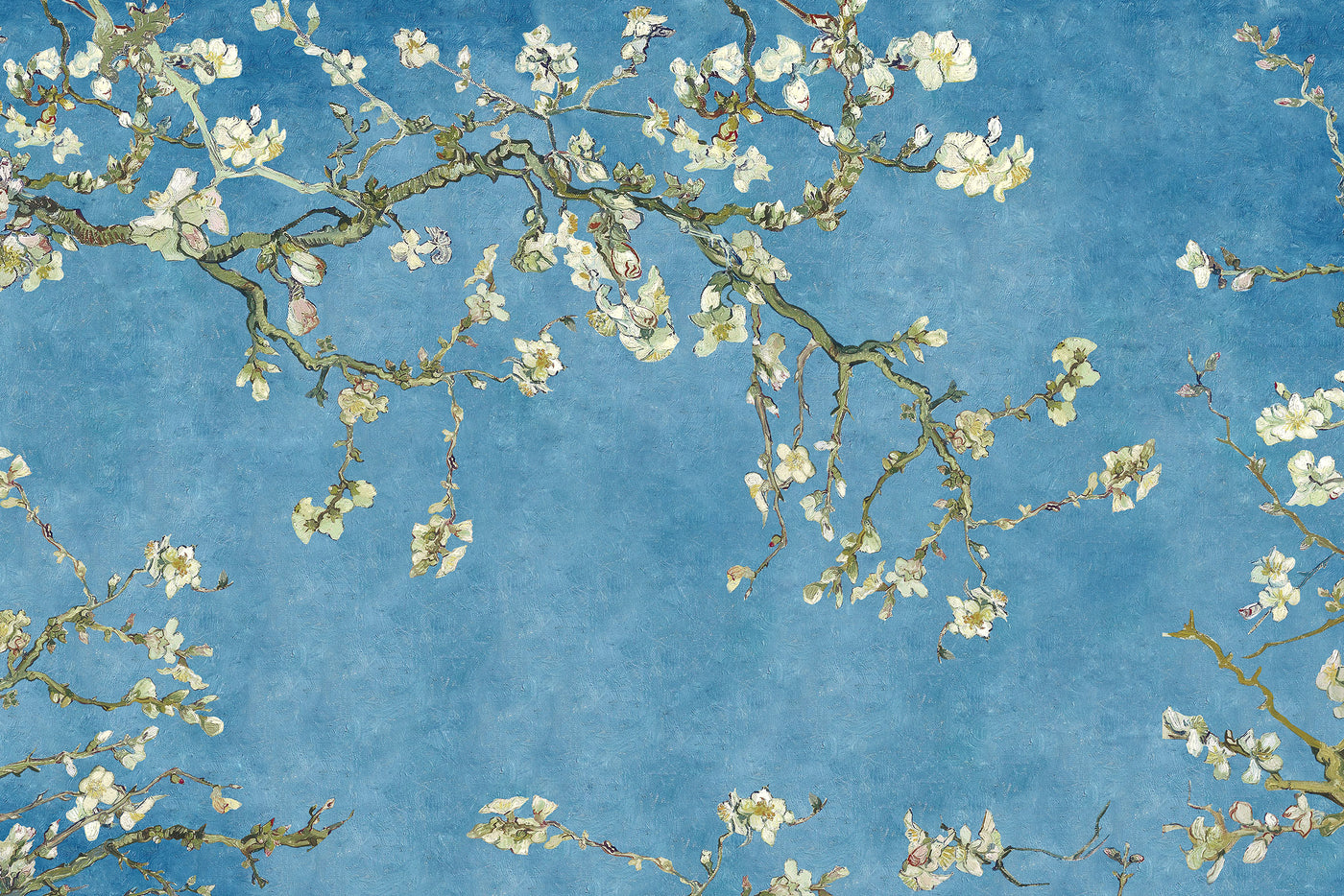 Papier peint design SK0851