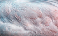 Échantillon, Design SK0923, Papier peint panoramique Plumes - Sur mesure