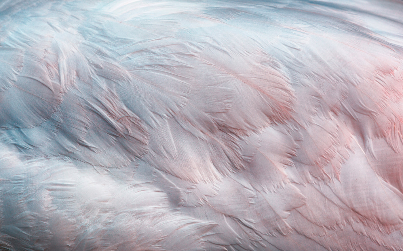 Papier peint design SK0923