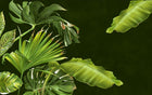 Design SL0026 — Papier peint Feuillage tropical fond vert sombre — Novomur