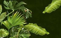 Échantillon, Design SL0026, Papier peint panoramique Jungle Tropicale Dense Aquarelle - Sur mesure