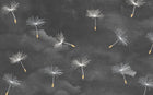 Design SL0115 — Papier peint Pissenlits aigrettes fond gris fonce — Novomur