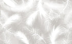 Design SL0279 — Papier peint Plumes blanches duveteuses fond gris — Novomur