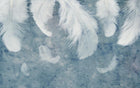 Design SL0331 — Papier peint Plumes blanches fond bleu pastel — Novomur