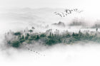 Design SL0356 — Papier peint Foret brumeuse vue aerienne oiseaux — Novomur