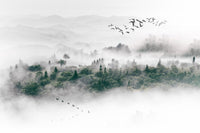Échantillon, Design SL0356, Papier peint panoramique Forêt Pins et Sapins - Collection 1 - Sur mesure