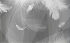 Design SL0399 — Papier peint Plumes blanches fond gris lignes fluides — Novomur
