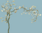 Design SL0498 — Papier peint Amandier fleurs blanches Van Gogh fond bleu — Novomur