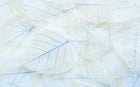 Design SL0502 — Papier peint Feuilles squelettes transparentes pastel — Novomur