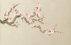 Design SL0503 — Papier peint Prunier rose pale fond beige epure — Novomur