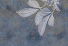 Design SL0546 — Papier peint Feuilles squelettes blanc fond bleu grunge — Novomur