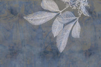 Échantillon, Design SL0546, Papier peint panoramique Botanique Feuilles Sombres - Sur mesure