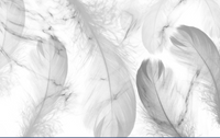 Échantillon — Design SL0706 — Plumes - Collection 2 - Sur mesure