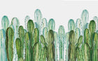 Design SL0822 — Papier peint Cactus colombiens vert pop aquarelle — Novomur