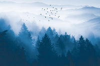 Échantillon, Design SL0874, Papier peint panoramique Forêt Pins et Sapins - Collection 1 - Sur mesure