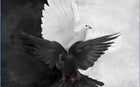 Design ZX0330 — Papier peint Colombes blanche noire dramatique vol — Novomur