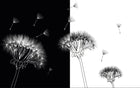 Design ZX0420 — Papier peint Pissenlits noir blanc divise abstrait — Novomur