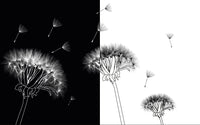 Échantillon, Design ZX0420, Papier peint panoramique Coquelicots et Fleurs Sauvages - Sur mesure