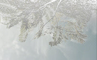 Échantillon, Design ZX0486, Papier peint panoramique Eucalyptus Botanique Sauge - Sur mesure