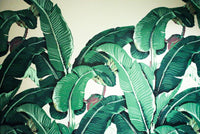 Échantillon — Design ZX0595 — Papier peint Palmier Tropical Vert - Collection 2 - Sur mesure