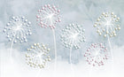 Design ZX0657 — Papier peint Pissenlits boules pastel fond bleu — Novomur