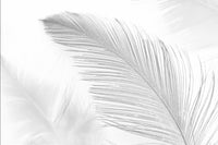 Échantillon — Design ZX0674 — Plumes - Collection 2 - Sur mesure