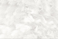 Échantillon — Design ZX0684 — Plumes - Collection 2 - Sur mesure