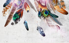 Design ZX0685 — Papier peint Plumes multicolores attrape-reves boho — Novomur