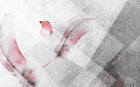 Design ZX0751 — Papier peint Plumes roses papillon fond gris triangles — Novomur