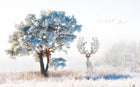 Design ZX0758 — Papier peint Cerf bois fleuris arbre givre hiver — Novomur